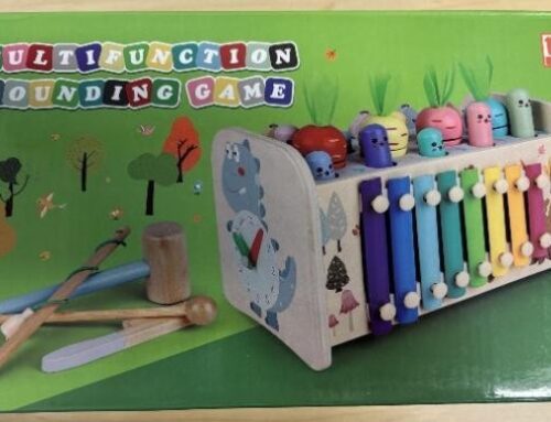 Pounding Toys Recalled Due to Risk of Serious Injury or Death from Magnet Ingestion Hazard