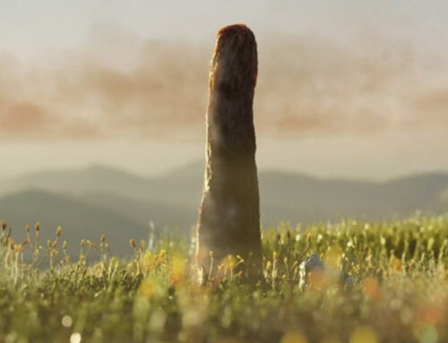 This Week in Science: A Cannabis Standard Measure, Bizarre Lifeforms, And More!