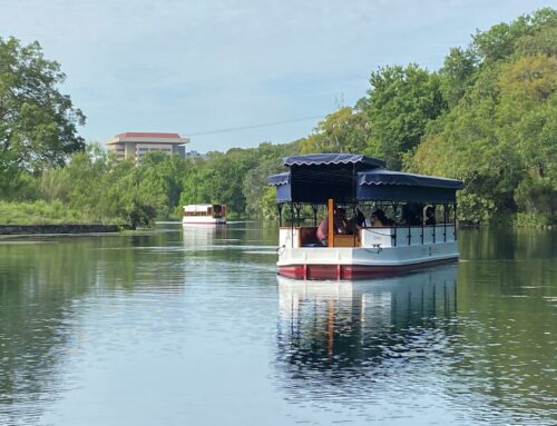 San Marcos gets high marks on environment, lower on transportation