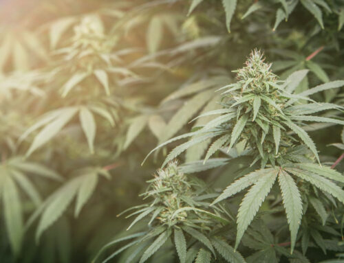 Customers, store employees waiting to see how 24% tax affects business