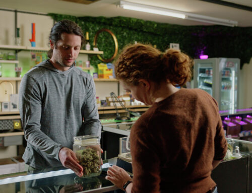 UIS offering cannabis education programs