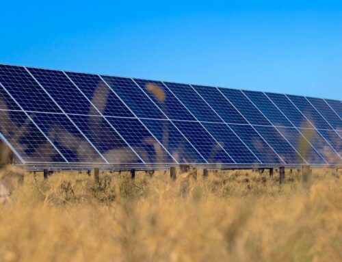 How To Lose The War On Renewable Energy, Bigly