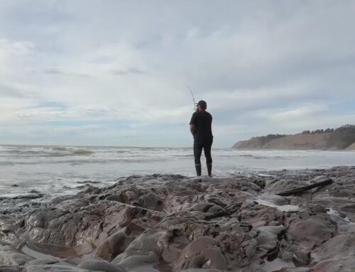 Bay Area environmental group pushes to ban all fishing at Duxbury Reef