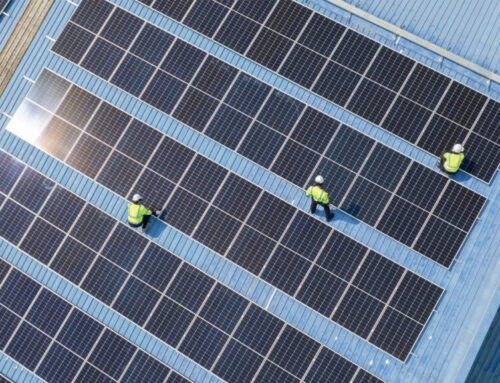 Trump is trying to kill clean energy, but the market has other plans