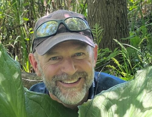 Issues of the Environment: Controlling invasive plants in the Huron River Watershed