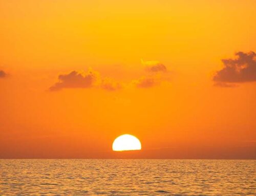 Market Fades From Highs; Eli Lilly, Google Lead New Buys