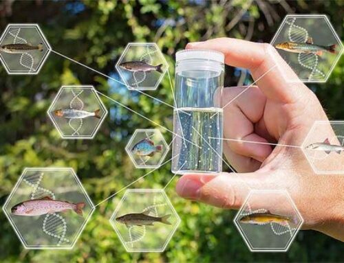 UC Davis Talk: DNA Detectives in the Environment