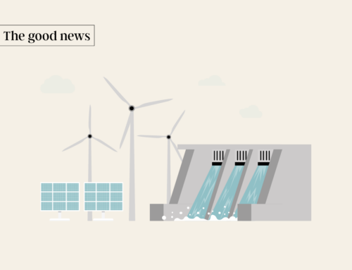 Renewable energy and protecting the ocean | D+C