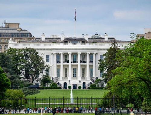 Trump pulls US from international renewable energy and climate change organizations