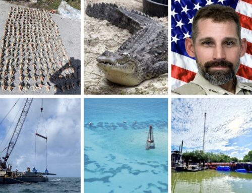 A WORD FROM THE ENVIRONMENT: 2025 STRIDES AND SETBACKS FOR KEYS WATERS & WILDLIFE