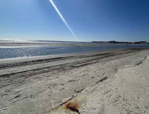 Seawall dispute on Isle of Palms raises environmental concerns