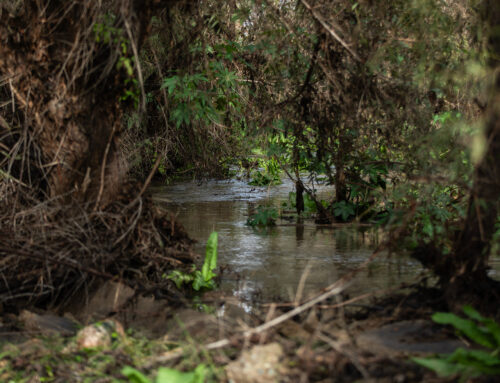 EPA touts bipartisan efforts to clean up Tijuana River