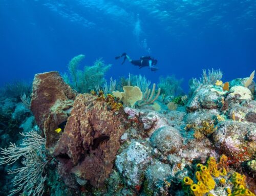 It’s Time to Think About Travel as an Investment