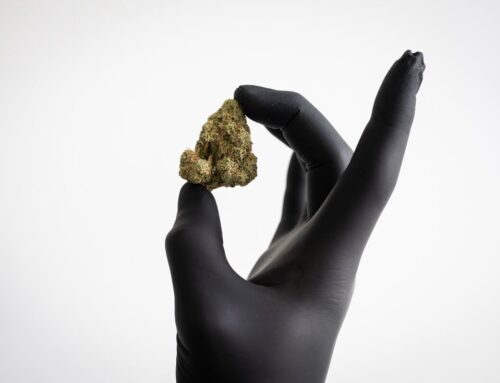 Online Cannabis Sales Are Booming in Germany—and the Government is Racing to Catch Up