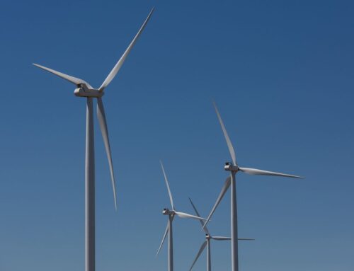 Octopus Australia to Spend Over $10 Billion on Green Energy Over Five Years