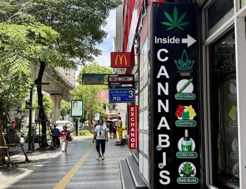 Thailand’s Cannabis Experiment Faces Moment of Truth at Polls