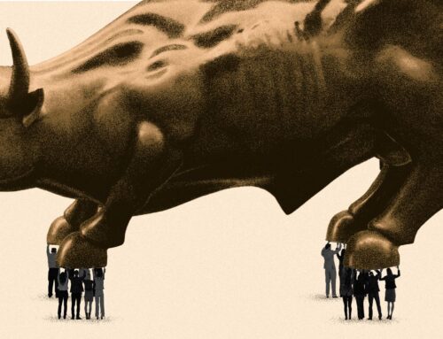 The risk for the growing pool of everyday investors