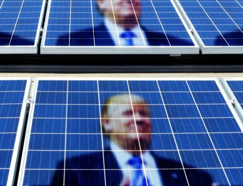 Exclusive: Majority of Trump voters back solar power, poll finds