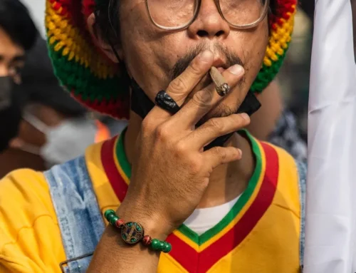 Watch Will Thailand Recriminalize Cannabis?
