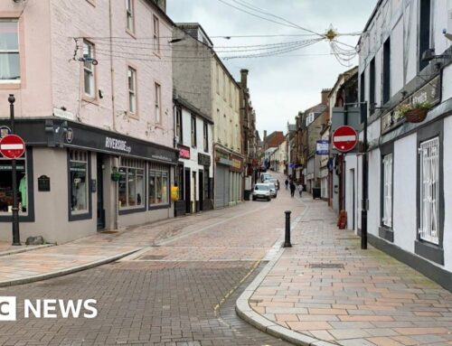 Cannabis plants worth nearly £1m found in Dumfries