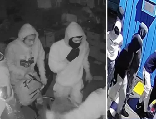 Michigan cannabis shops tighten security amid surge in break-ins