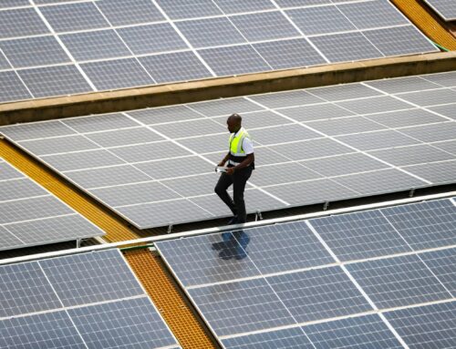 Africa leads growth in solar energy as demand spreads beyond traditional markets, report s