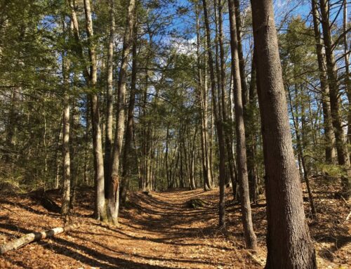 CT research finds environmental trade-offs of biodegradable plastics. Consumer education i