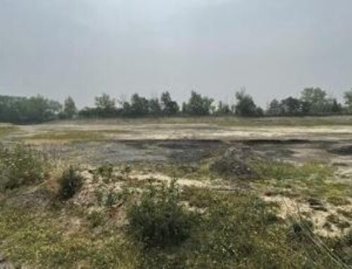 Harbor Island receives federal funding for remediation efforts