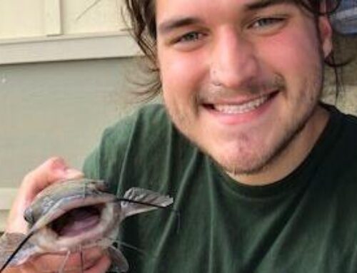 Be smart with road salt and help the environment