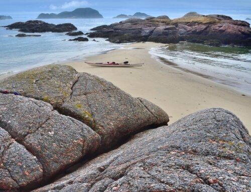 Axing N.L. ocean conservation site a ‘blow’ to national goals, say environment groups