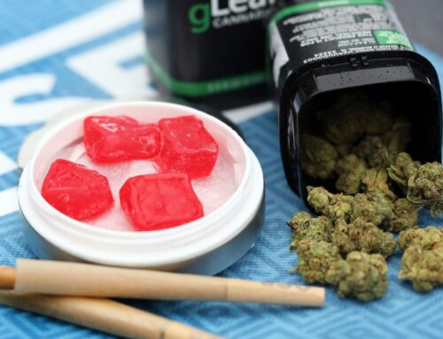 With retail cannabis incoming for Virginians, medical growers eye expansion