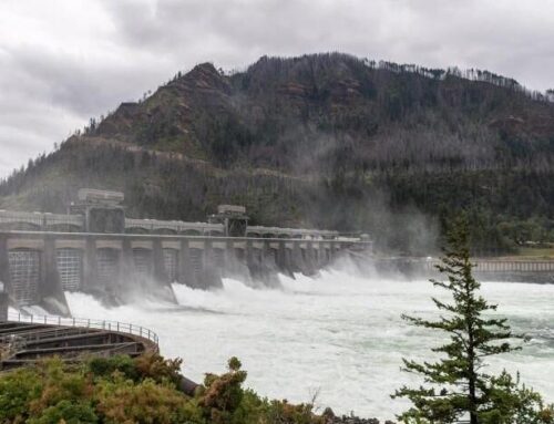 Federal budget maintains many Columbia River salmon and environment programs