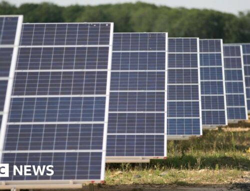 Solar farm plans shelved after consultation