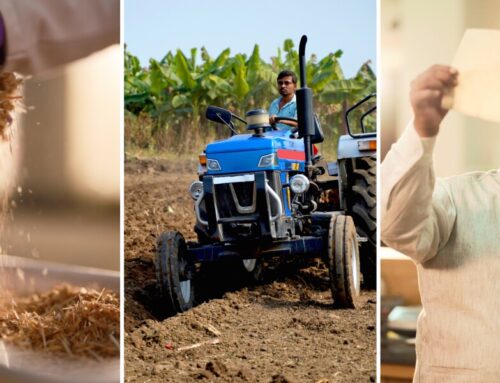 Amazon teams up with leading Indian university to turn farm waste into recyclable packagin