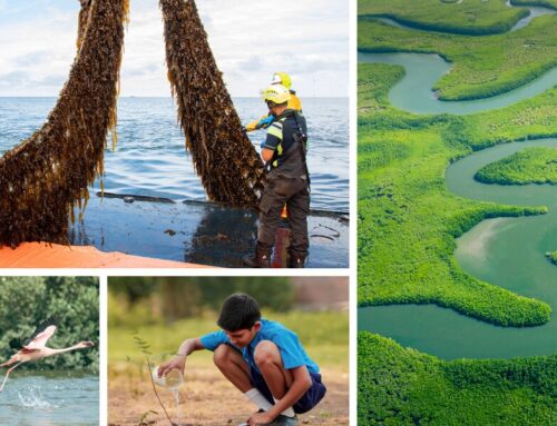 Right Now Climate Fund: Amazon’s projects around the world