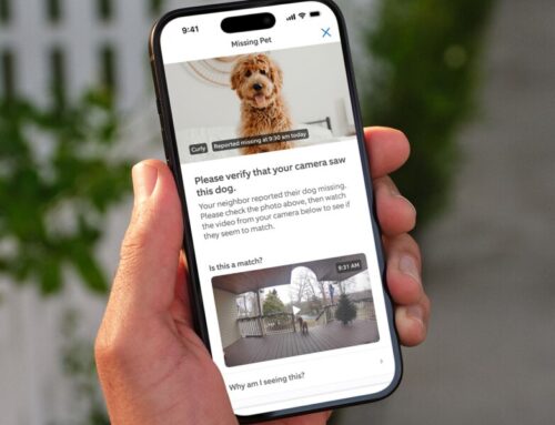 Ring’s Search Party helps reunite more than one lost dog a day—now available to everyone
