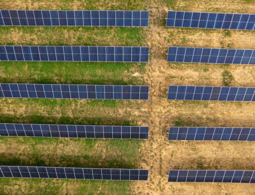 Judge rules Michigan county can’t use health code to restrict solar farms