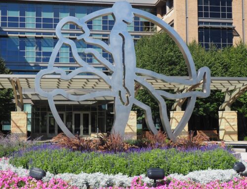 The Motley Fool: Investing in robotic surgery