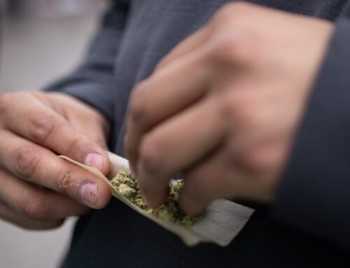 Illinois cannabis sales revenue falls as hemp and other states cut into prices for the str