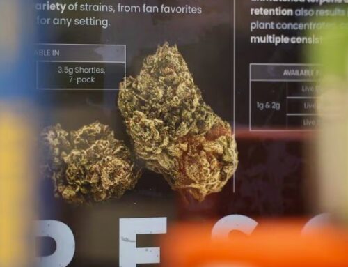 Cannabis dispensary approved in Sycamore; chances for state permit ‘very high’ owner says