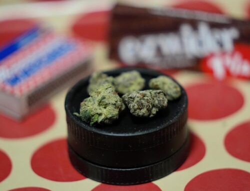 Massachusetts cannabis regulators agree to explore licensing freeze