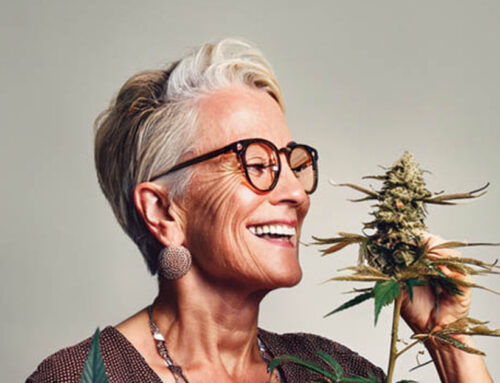 Cannabis Culture: Whose Weed Is It Anyway?