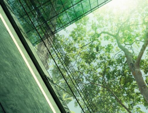 New global science highlights business risks from nature loss