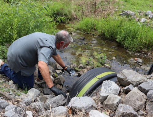 Former EPA Staff Detail Expanding Pollution Risks Under Trump
