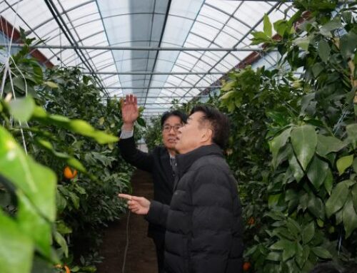 Citrus Grown With Renewable Energy – International Citrus Industry Magazine