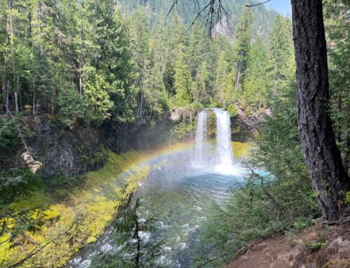 Invest in the environment, boost the economy