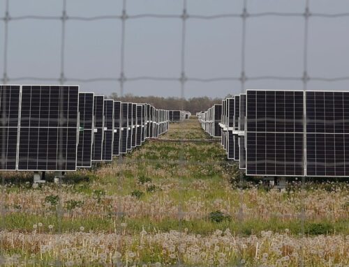 Solar energy facility proposed for Champaign County