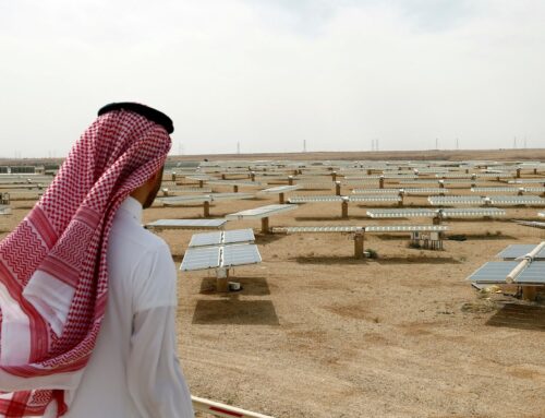 Saudi Arabia to build $2 billion solar farms in Turkey, Turkish energy minister says