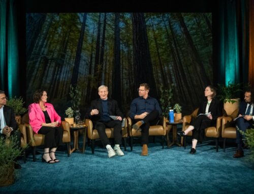 How California governor candidates say they will tackle environmental issues