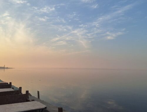 Vanishing wildlife at Egypt’s Lake Qarun force fishermen to abandon trade